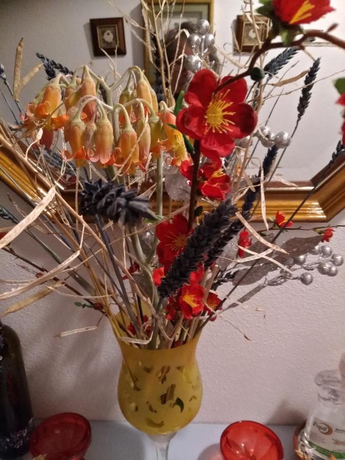 Hébergement de vacances Casa Na Aldeia Estremoz